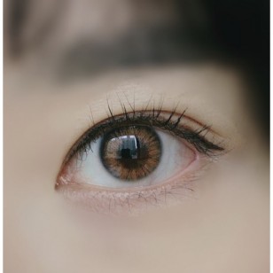 Mix Ann Hawaiian Brown(月拋)